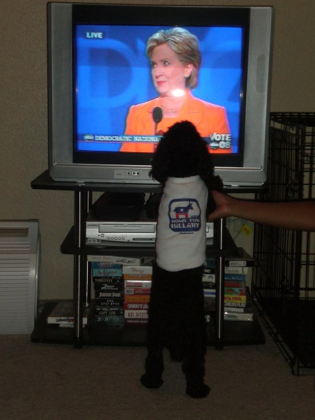 cimg0762 Howl for Hillary